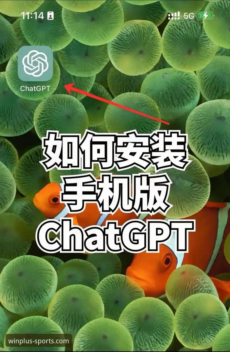 盈嘉体育怎么注册安装教程 盈嘉体育平台注册安装实用指南:三步搞定官方版下载与体验